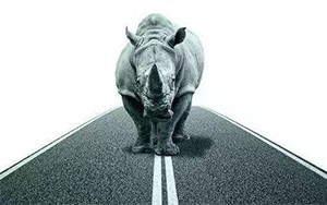 臣通觀點丨小心，中國產(chǎn)業(yè)園區(qū)的“灰犀牛”又來了！