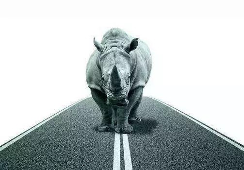 1540545204856504.jpg 640_看圖王.web.jpg