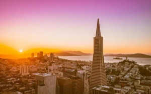 2019，產(chǎn)業(yè)園區(qū)的五大分水嶺